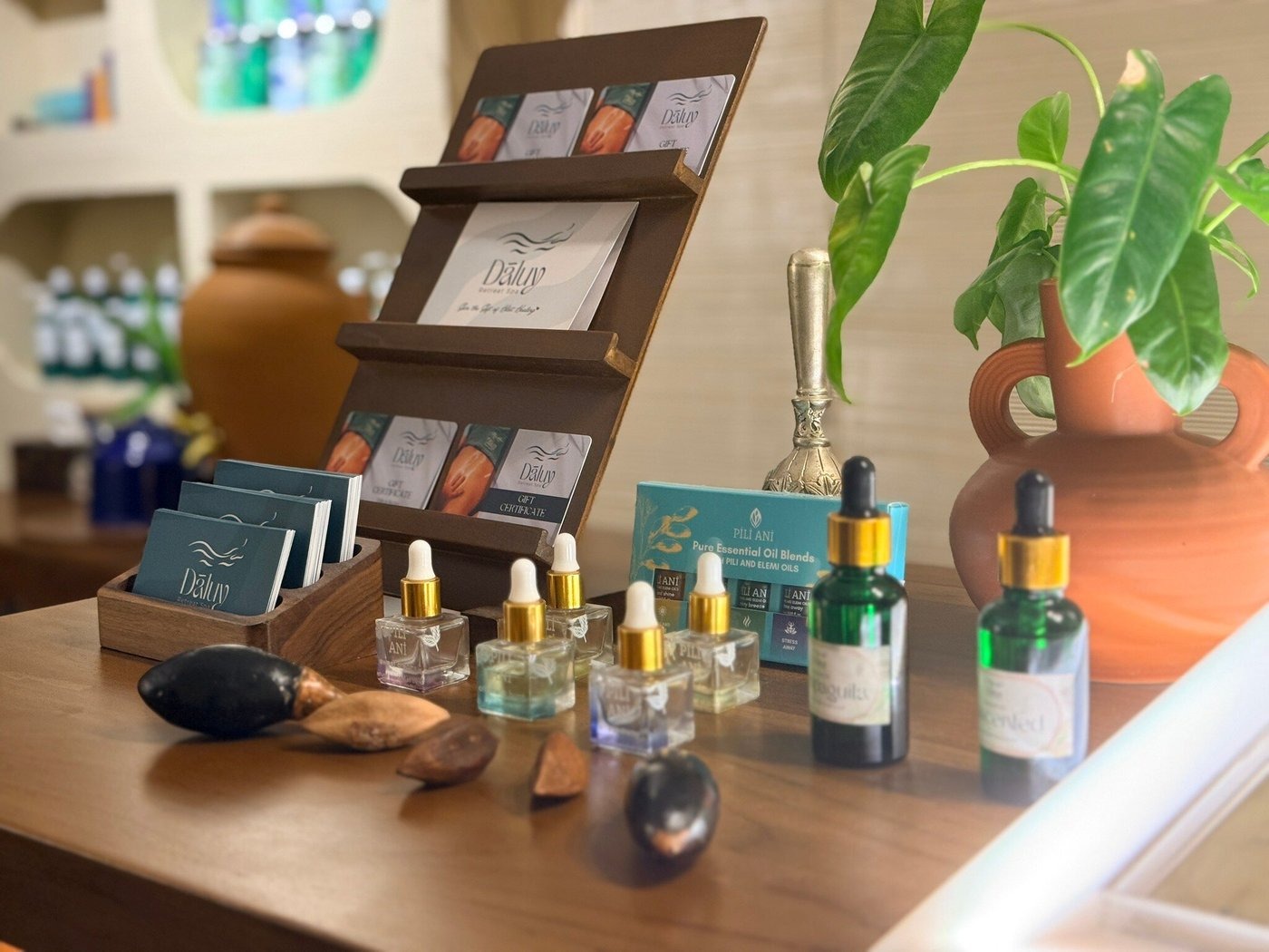 Dāluy Retreat Spa editorial view 4